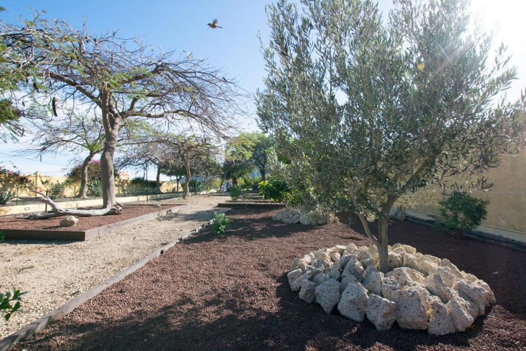Rural Villa With Private Pool غيمار المظهر الخارجي الصورة